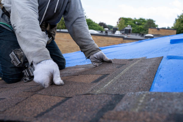 Best Roof Waterproofing Services  in North St Paul, MN