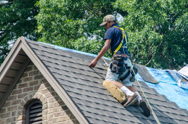 Best Roof Repair Services  in North St Paul, MN