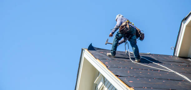 Best Roof Gutter Cleaning  in North St Paul, MN